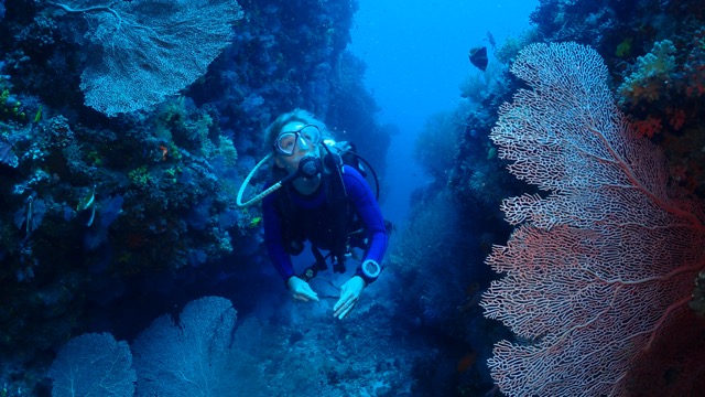 BB_DIVER & GIANT CORAL.JPG