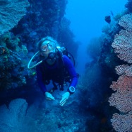 BB_DIVER & GIANT CORAL.JPG