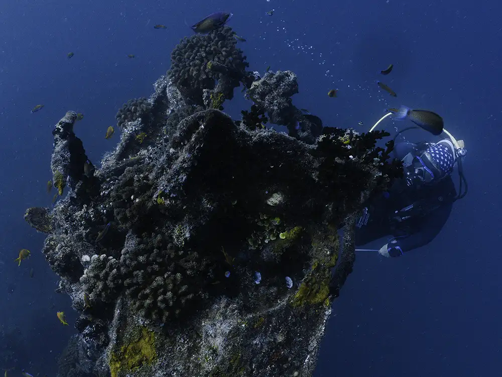 How we dive